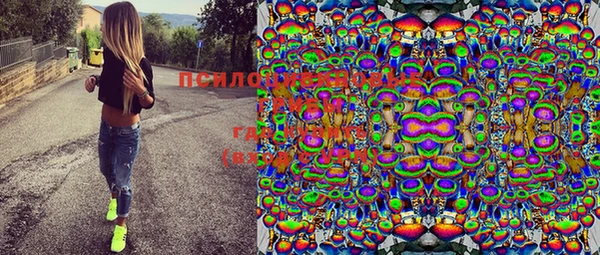 шишки Каменка