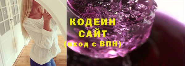 шишки Каменка