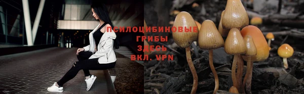a pvp Каменногорск