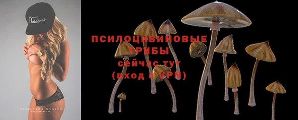 шишки Каменка