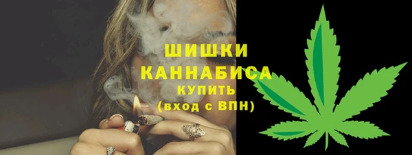 шишки Каменка