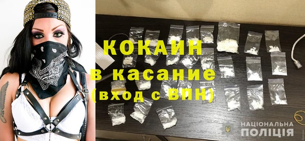шишки Каменка