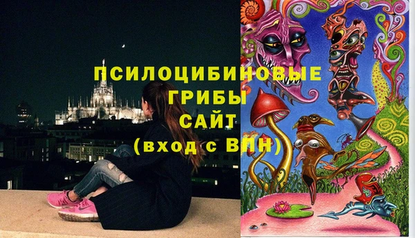 твердый Каменск-Шахтинский