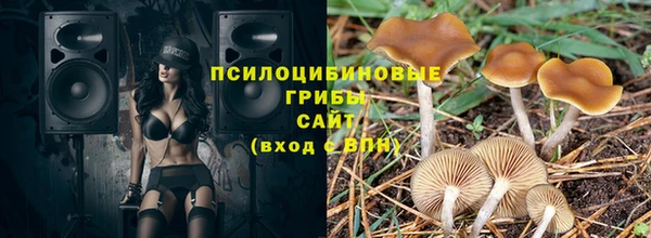 твердый Каменск-Шахтинский