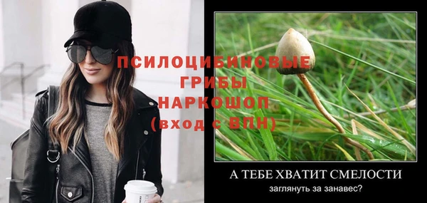 шишки Каменка