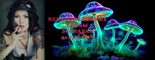 a pvp Каменногорск