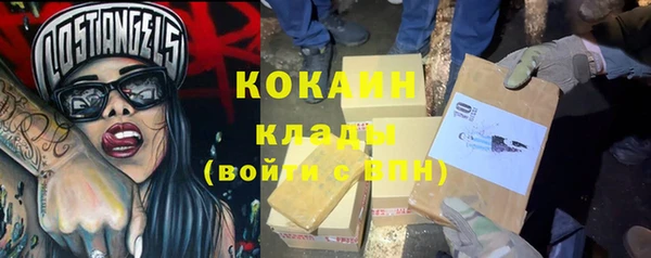 шишки Каменка